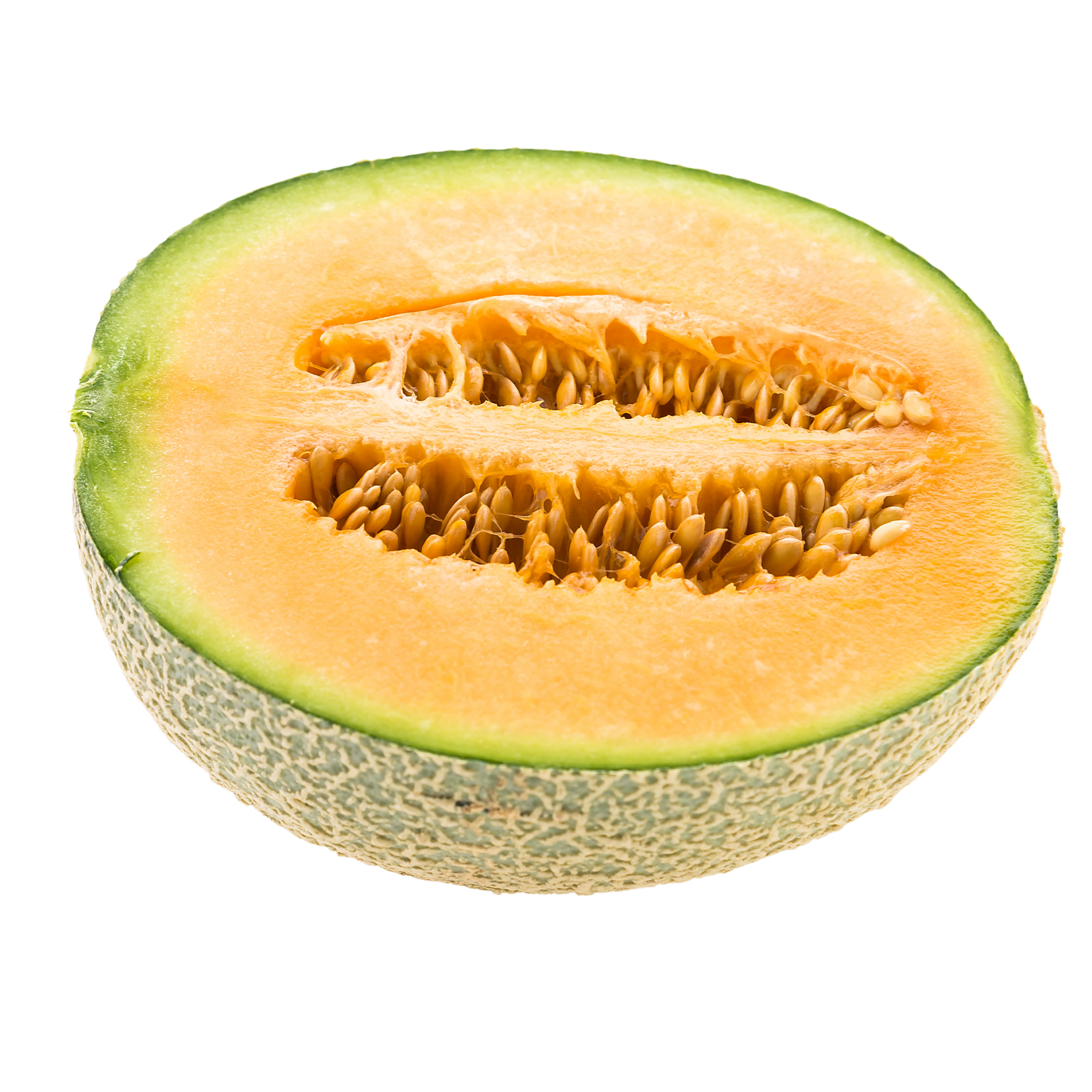 CANTALOUPE MELON
